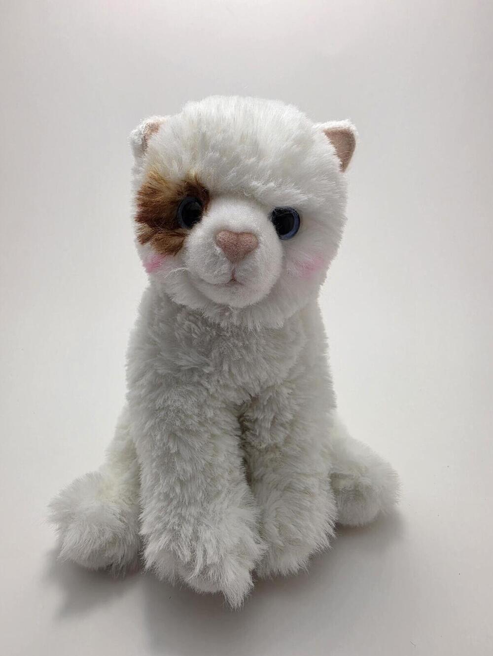 Douglas White Cat, Brown Eye Patch Blushing Rosy Cheeks (9 inch)